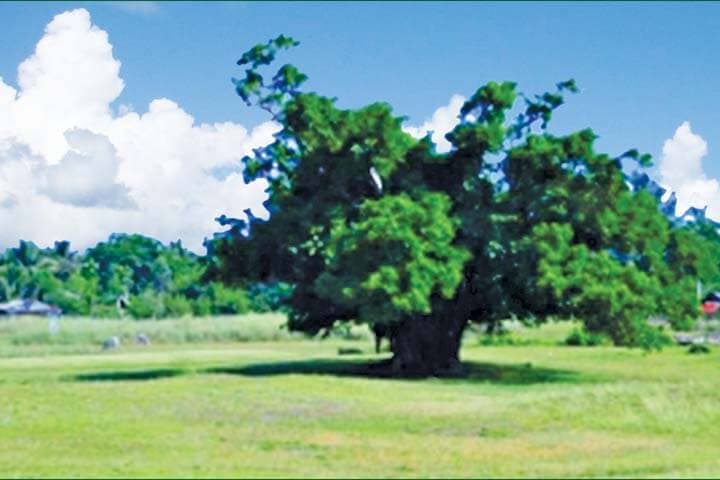 Dagupan Golf & Beach Club photo